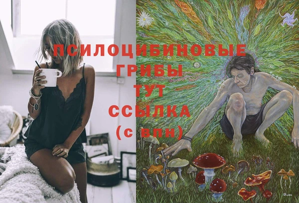 герыч Алзамай