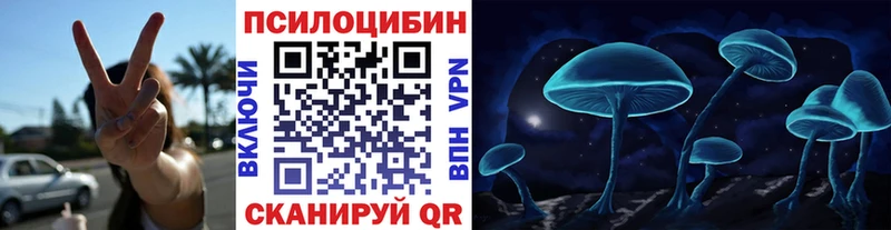 Псилоцибиновые грибы Cubensis  Приморск 